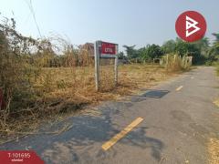 ขายที่ดิน 40.3 ตารางวา ลาดใหญ่ สมุทรสงคราม-202501081608471736327327409.jpg