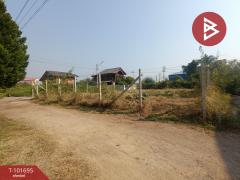 ขายที่ดิน 40.3 ตารางวา ลาดใหญ่ สมุทรสงคราม-202501081608521736327332212.jpg