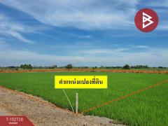 ขายที่ดินเปล่า-เนื้อที่-2-ไร่-องครัก