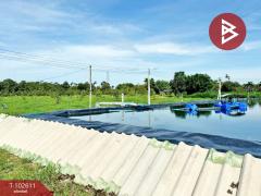 ขายที่ดินพร้อมสวน เนื้อที่ 8 ไร่ 3 งาน 69.5 ตร.วา ท่าใหม่ จันทบุรี-202501091556131736412973782.jpg