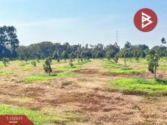ขายที่ดินพร้อมสวน เนื้อที่ 8 ไร่ 3 งาน 69.5 ตร.วา ท่าใหม่ จันทบุรี-202501091556181736412978187.jpg