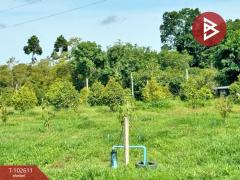 ขายที่ดินพร้อมสวน เนื้อที่ 8 ไร่ 3 งาน 69.5 ตร.วา ท่าใหม่ จันทบุรี-202501091556181736412978894.jpg