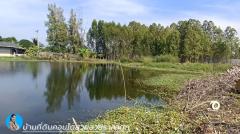 ขาย ที่ดิน  ที่ดินสวยใกล้ถนน บางบัวทอง-สุพรรณบุรี ที่ดิน บางบัวทอง-สุพรรณบุรี 20000 ตรม 29 ไร่ 2 งาน 43 ตรว-202501092142561736433776258.jpg