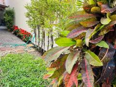 ให้เช่าบ้านเดี่ยว 4 ชั้น ถ.สุขุมวิท 31 เเยก 2 เขตวัฒนา ใกล้เอ็มโพเรียม (N.1516)-202501111435291736580929964.jpg