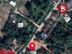 ขายบ้านเดี่ยวทรงบ้านไม้ไทย เนื้อที่ 1 งาน 47.5 ตร.วา ท่าปลา อุตรดิตถ์-202501131218471736745527229.jpg