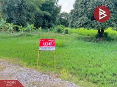 ขายที่ดิน-เนื้อที่-2-งาน-45.7-ตร.วา-ท่ายา