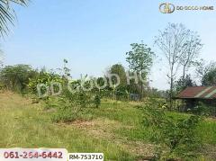 ที่ดินหล่มเก่า 1 ไร่ 376 ตร.ว. โครงการภูหินวิวรีสอร์ท เพชรบูรณ์ ใกล้ภูทับเบิก-202501131445061736754306165.jpg