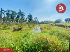 ขายที่ดิน เนื้อที่ 5 ไร่ 1 งาน 84.7 ตร.วา สามพราน นครปฐม-202501131515301736756130871.jpg