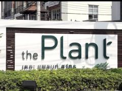ให้เช่าทาวน์เฮ้าส์ the plant city sathorn 19,000 บาท/เดือน โครงการติดถนนใหญ๋-202501140832041736818324713.jpg