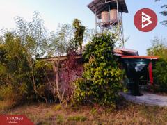 ขายที่ดินพร้อมสิ่งปลูกสร้าง เนื้อที่ 11 ไร่ 96 ตร.วา สังขะ สุรินทร์-202501141114271736828067144.jpg