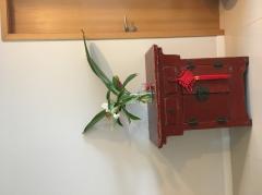 ให้เช่า คอนโด D279 Circle Condominium 42 ตรม Full Furnished-202501141456561736841416658.jpg