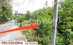 ที่ดินหัวรอ 8 ไร่ 226 ตร.ว. พระนครศรีอยุธยา ใกล้เทศบาล-202501141651581736848318830.jpg