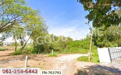 ที่ดินหัวรอ 8 ไร่ 226 ตร.ว. พระนครศรีอยุธยา ใกล้เทศบาล-202501141651591736848319550.jpg