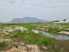 ขายเท่าราคาประเมิน ที่ดินเปล่า วิวภูเขา ใกล้หาดชะอำ เนื้อทึ่ 16-1-84 ไร่ ถนนเพชรเกษม ตำบลชะอำ อำเภอชะอำ จังหวัดเพชรบบุรี-202501150814301736903670722.jpeg