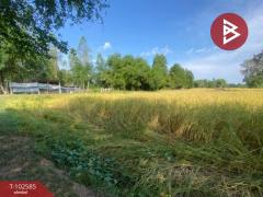 ขายที่ดินเปล่า-ในหมู่บ้านเก่าน้อย-
