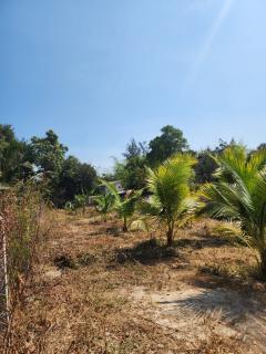 ขายที่ดินเปล่าใกล้ชายหาดชะอำ เพชรบุรี เนื้อที่ 130 ตร.ว.-202501151032141736911934740.jpg
