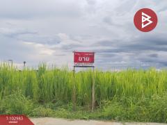 ขายด่วนที่ดิน เนื้อที่ 2 งาน อ.หัวหิน ประจวบคีรีขันธ์-202501151157381736917058746.jpg