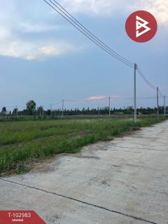 ขายด่วนที่ดิน เนื้อที่ 2 งาน อ.หัวหิน ประจวบคีรีขันธ์-202501151157421736917062497.jpg