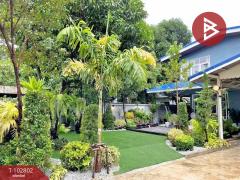 ขาย/เช่า บ้านเดี่ยว เนื้อที่ 1 งาน 25.4 ตร.วา ซ.อ่อนนุช 51/1 ประเวศ กรุงเทพมหานคร-202501151217131736918233187.jpg