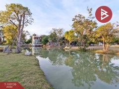 ขายที่ดินทำเลดี เนื้อที่ 2 งาน 41 ตร.วา บ้านยาง นครปฐม-202501160943001736995380890.jpg