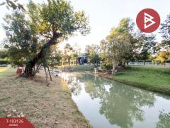 ขายที่ดินทำเลดี เนื้อที่ 2 งาน 41 ตร.วา บ้านยาง นครปฐม-202501160943031736995383113.jpg