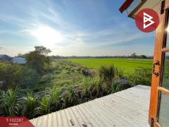 ขายบ้านเดี่ยว เนื้อที่ 1 งาน 3 ตร.วา ซ.เจ็ทสกี พุทธมณฑล นครปฐม ทำเลดี-202501161656551737021415332.jpg