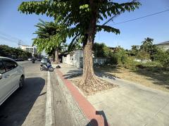 ขายที่ดินซอยลาดพร้าว71 ถมแล้ว 185 ตรว. ทำเลดี ติดถนนหลัก (N.1025)-202501161815571737026157589.jpg