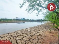 ขายที่ดิน เนื้อที่ 2 ไร่ แม่กลอง สมุทรสงคราม-202501170922301737080550721.jpg