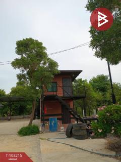 ขายบ้านเดี่ยวพร้อมที่ดิน เนื้อที่ 1 ไร่ 20 ตร.วา กำแพงแสน นครปฐม-202501171525141737102314393.jpg