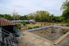 ขายที่ดิน 16 ไร่ พร้อมสิ่งปลูกสร้างเป็นอาคารโรงเรียนชั้นเดียว อ.หนองเสือ คลอง 11 ปทุมธานี-202501201017471737343067349.jpg