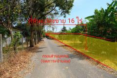 ขายที่ดิน 16 ไร่ พร้อมสิ่งปลูกสร้างเป็นอาคารโรงเรียนชั้นเดียว อ.หนองเสือ คลอง 11 ปทุมธานี-202501201017511737343071953.jpg