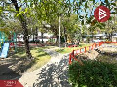 ขายบ้านเดี่ยว หมู่บ้านเสนากรีนวิลล์ บางนา-เทพารักษ์ บางพลี สมุทรปราการ-202501201614541737364494116.jpg