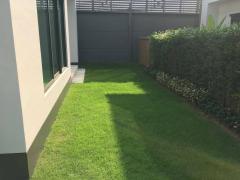 ให้เช่าบ้านเดี่ยวหมู่บ้านเศรษฐสิริ กรุงเทพกรีฑา เฟอร์ครบพร้อมอยู่ 1 พ.ค. (N.1526)-202501201724201737368660785.jpg