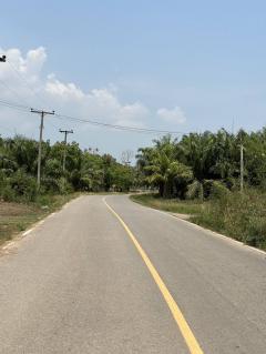 ที่ดินทำเลดี วิวภูเขาล้อมรอบ  เริ่มต้น 10+ไร่ ต.กลัดหลวง อ.ท่ายาง จ.เพชรบุรี -202501222352271737564747822.jpg