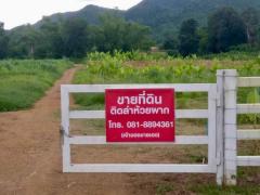 ที่ดินทำเลดี วิวภูเขาล้อมรอบ  เริ่มต้น 10+ไร่ ต.กลัดหลวง อ.ท่ายาง จ.เพชรบุรี -202501222352331737564753717.jpg