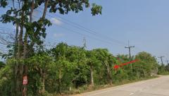 ขายที่ดิน พื้นที่ 24 ไร่ 26.1 ตร.ว. ติดถนนสุขุมวิท ใกล้ร้านตำนานป่าระยอง จ.ระยอง-202501230845491737596749782.jpg