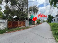 ขาย ที่ดิน ถูกที่สุดในซอย ปรีดี 14 สุขุมวิท 71 166 ตรว ม.เกษมสำราญ 2 เหมาะ บ้าน อาคาร-202501231501421737619302659.jpg