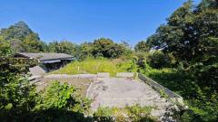 ขายที่ดิน 250 ตรว ชลบุรี บ้านสวน หนองข้างคอก 4 เหมาะทำบ้านพักอาศัย-202501231556521737622612965.jpg