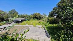 ขายที่ดิน 250 ตรว ชลบุรี บ้านสวน หนองข้างคอก 4 เหมาะทำบ้านพักอาศัย-202501231556531737622613702.jpg