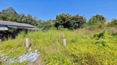 ขายที่ดิน 250 ตรว ชลบุรี บ้านสวน หนองข้างคอก 4 เหมาะทำบ้านพักอาศัย-202501231556561737622616385.jpg