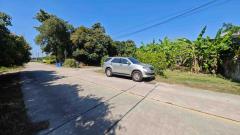 ขายที่ดิน 250 ตรว ชลบุรี บ้านสวน หนองข้างคอก 4 เหมาะทำบ้านพักอาศัย-202501231556571737622617813.jpg