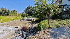 ขายที่ดิน 250 ตรว ชลบุรี บ้านสวน หนองข้างคอก 4 เหมาะทำบ้านพักอาศัย-202501231556591737622619399.jpg