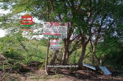  ที่ดินเปล่า ซอยบ้านจิตธรรมดี-ลาดบัวหลวง เนื้อที่ 2 ไร่ ถนนสายเอเชีย ตำบลพระยาบันลือ อำเภอลาดบัวหลวง จังหวัดพระนครศรีอยุธยา-202501241358271737701907500.jpg