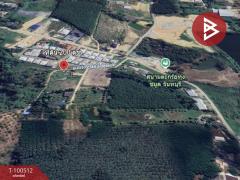 ขายที่ดิน ในหมู่บ้านพรไพบูลย์ เนื้อที่ 2 งาน ท่าช้าง จันทบุรี-202501241538581737707938892.jpg
