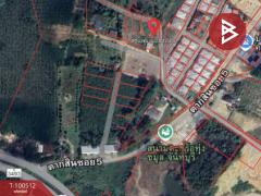 ขายที่ดิน ในหมู่บ้านพรไพบูลย์ เนื้อที่ 2 งาน ท่าช้าง จันทบุรี-202501241538591737707939963.jpg