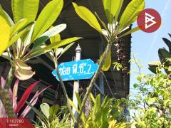 ขายทาวน์เฮ้าส์ หมู่บ้านพงษ์ศิริชัย1 อ้อมน้อย สมุทรสาคร-202501261633411737884021805.jpg
