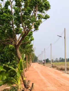 ขายที่ดินสวย 2 ไร่ และ 3 ไร่ เจ้าของขายเอง ตำบลท่าเรือ อำเภอปากพลี นครนายก-202501261811321737889892307.jpg