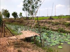 ขายที่ดินสวย 2 ไร่ และ 3 ไร่ เจ้าของขายเอง ตำบลท่าเรือ อำเภอปากพลี นครนายก-202501261811361737889896013.jpg