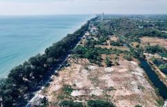 ขายที่ดินสวยมาก ริมทะเล หาดแม่รำพึง 10-3-41.8 ไร่ จ.ระยอง-202501271047411737949661848.jpg
