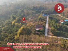 ขายที่ดินเปล่า เนื้อที่ 2 งาน ท่าเสา อุตรดิตถ์-202501271132041737952324228.jpg